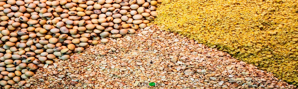 Exporters and Suppliers of Animal Feed like Bajra, Barley, Castor Meal,Coconut Meal and many more 