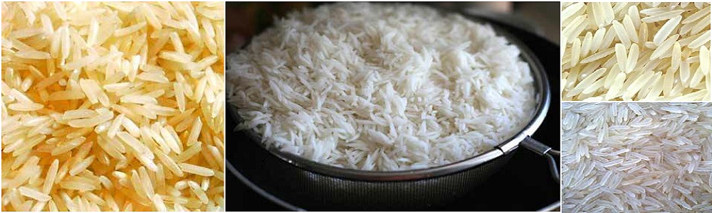 Exporters and Suppliers of Basmati Rice like Basmati Rice White 1121, Basmati Rice Steem 1121 and many others 